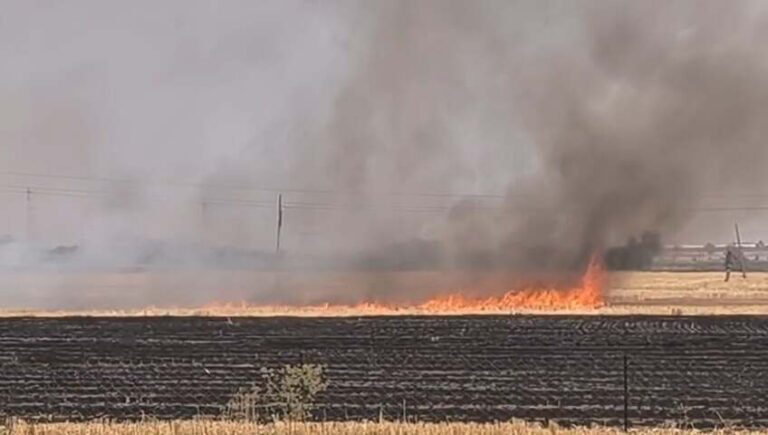 mp-shiv-01-news-pkg-mp10083_28042025231150_2804f_1745862110_216