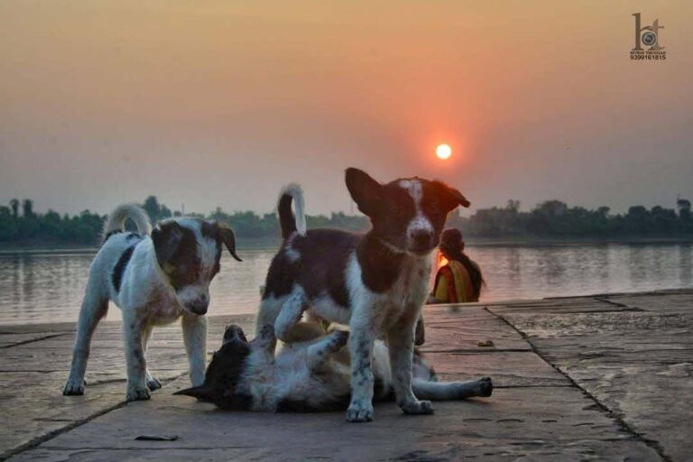 510025015_23920646890961105_8710735521406474062_n