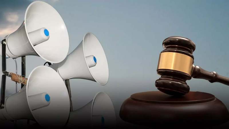 5-bambe-1-1764918643