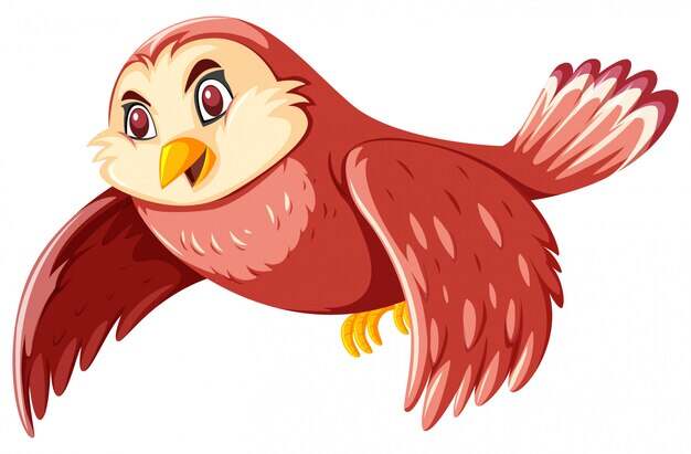 happy-owl-flying-white-background_1639-5242