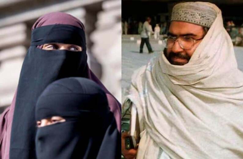 highcort-11-1764920520