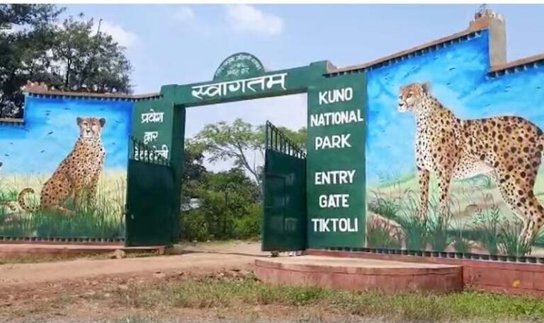 l-bhopal051225110508000-1764963039