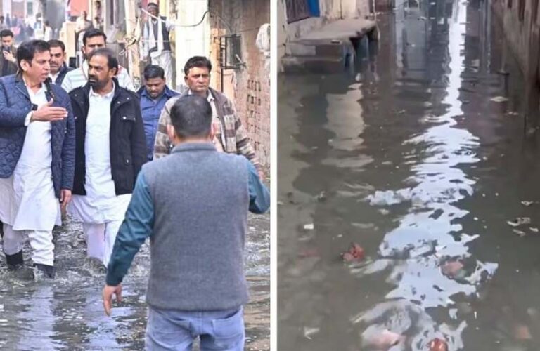 00000000000000-1769063415