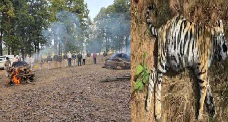 31singraha-5-1769846185