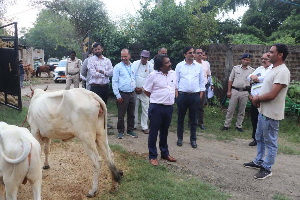 557684269_1194558696037668_6648904803179783741_n