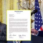 yy888888888888-1768653606