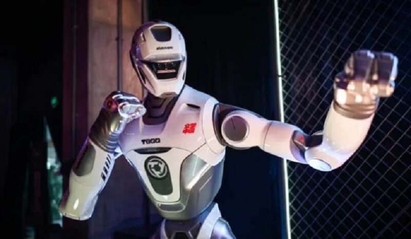 0000000000000-1771743976