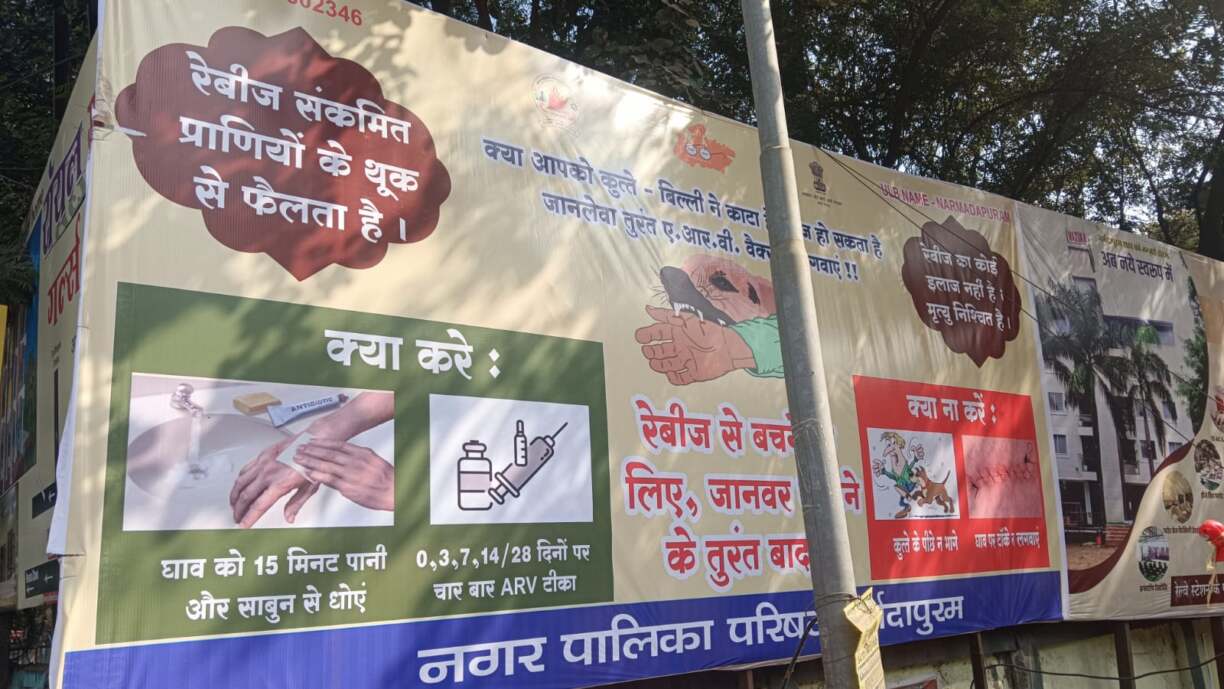 WhatsApp Image 2026-02-09 at 18.54.41