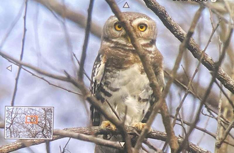 inner-bhopal250226083513-00-1772050435