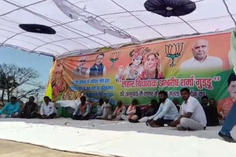 0000000000-1774243349