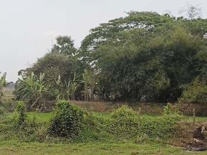 202603173711136-1773748307