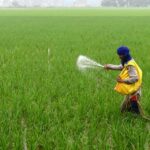 202603193713438-1773916832