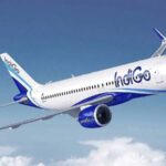 6-indigo-1-1765008593