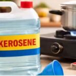 nnnnnnnnnnnnnnnnnnnnnnnnnnnn-1773402266