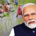 vvvvvvvvvvvvvv-1774261799