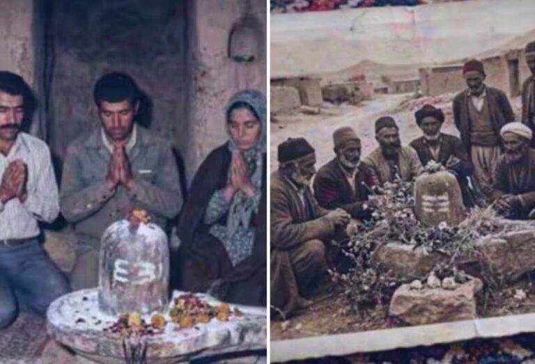 000000000-1775709022