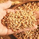 000000000-1775970671