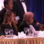 000000000000000-1777187818