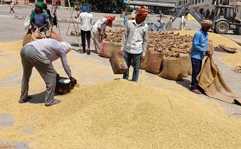 16-1777542540