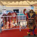 inner-bhopal110426091507-00-1775970836