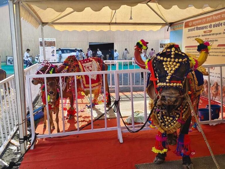 inner-bhopal110426091507-00-1775970836