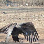 inner-bhopal120426090733-00-1776055037