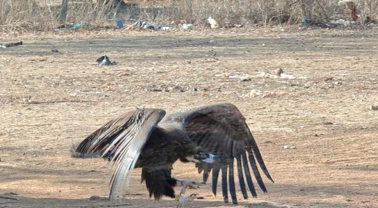 inner-bhopal120426090733-00-1776055037