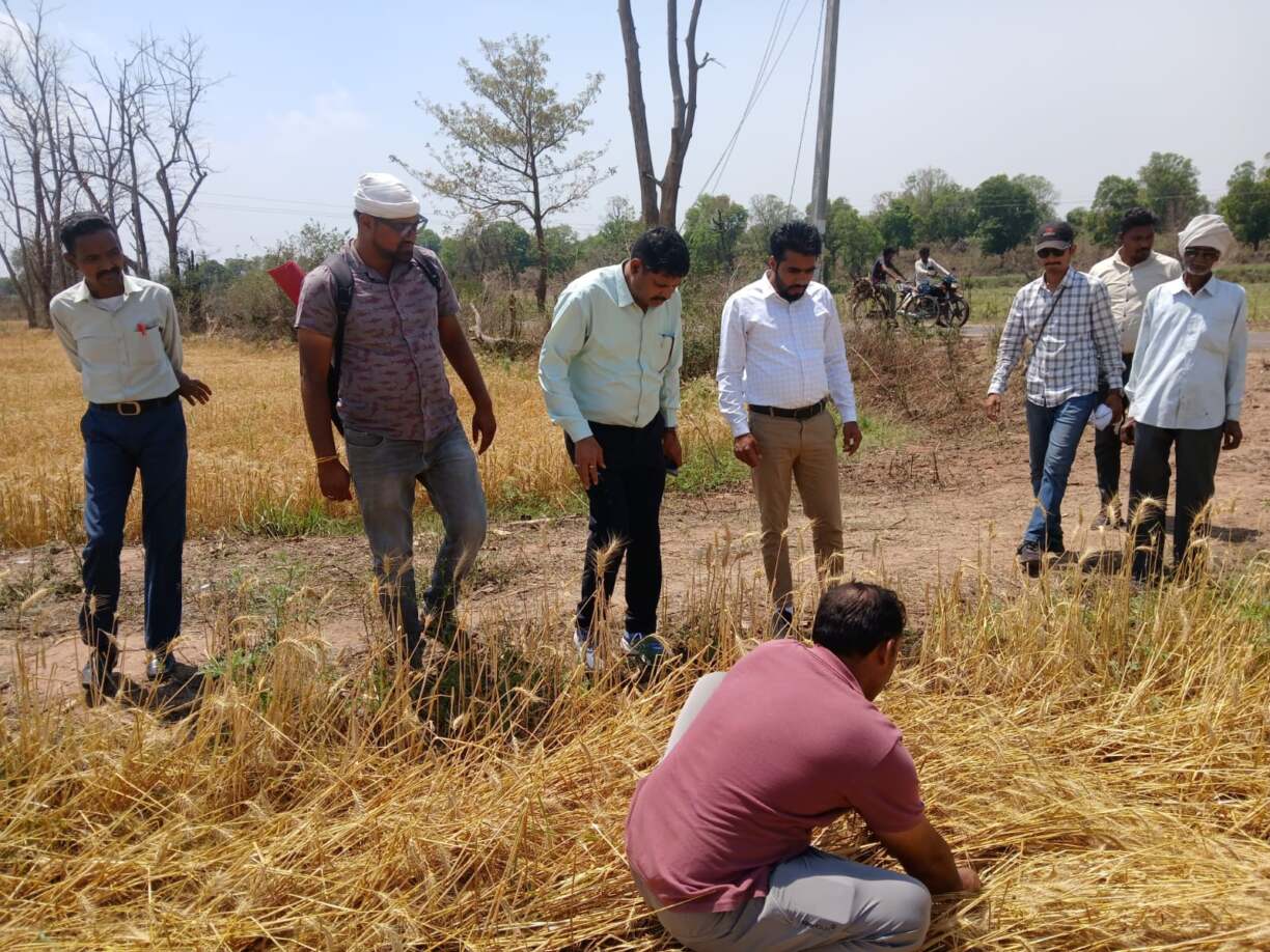 कलेक्_टर के निर्देशानुसार एसडीएम पिपरिया ने किया बनखेडी तहसील का निरीक्षण (3)