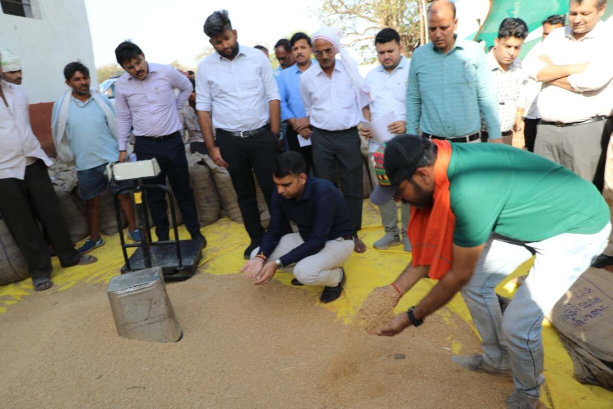 गेहूं उपार्जन कार्यों के निरीक्षण के