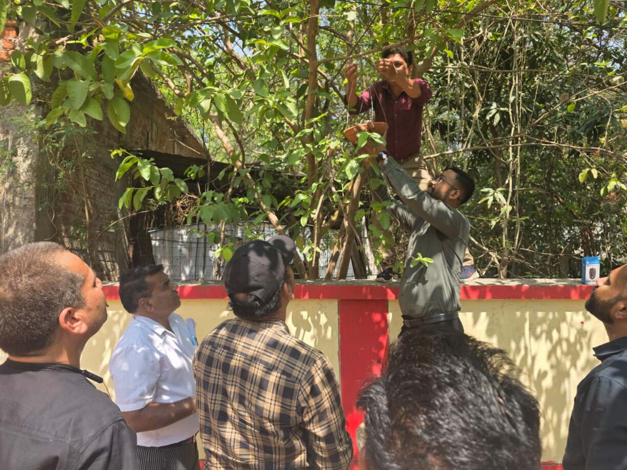 ‘नीर पखेरू’ अभिय