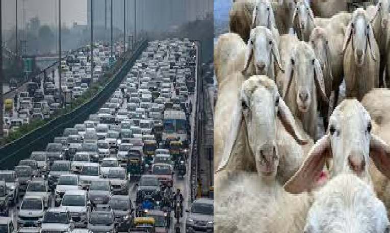untitled-1778849090