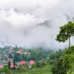 untitled-1779540583