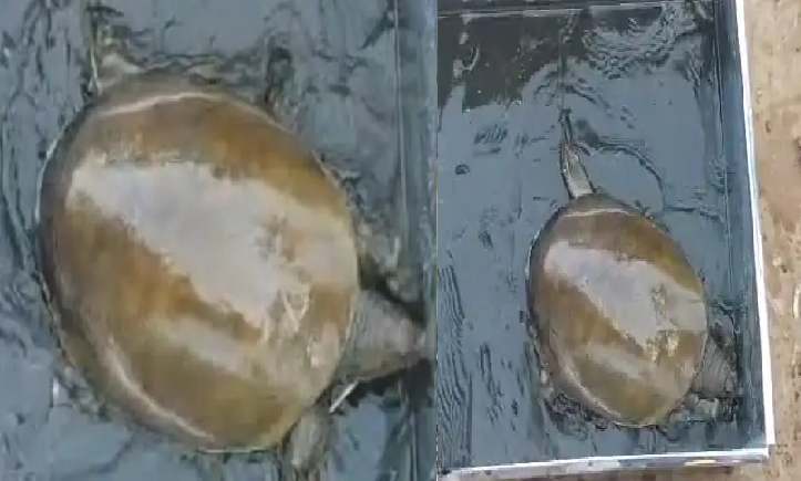 untitled-1779694892