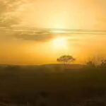 untitled-1779696879