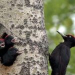 untitled-1779698783