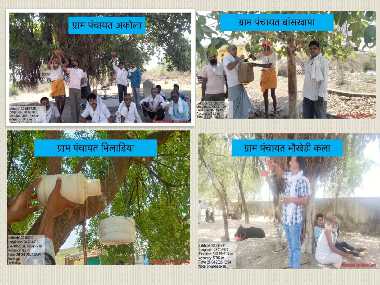 एक सकोरा, पानी पक्षियों की ज