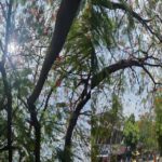 untitled-1780911766