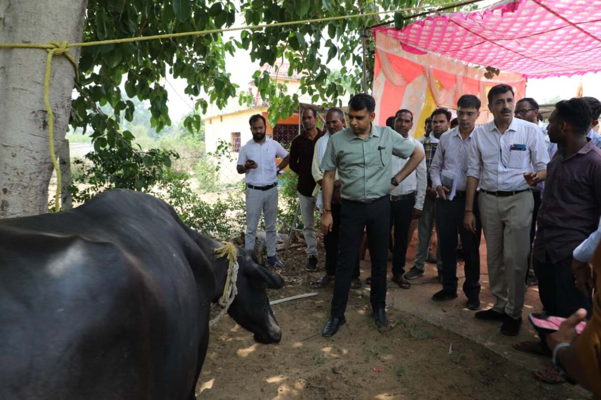 कलेक्टर श्री सोमेश मिश्रा ने क्ष