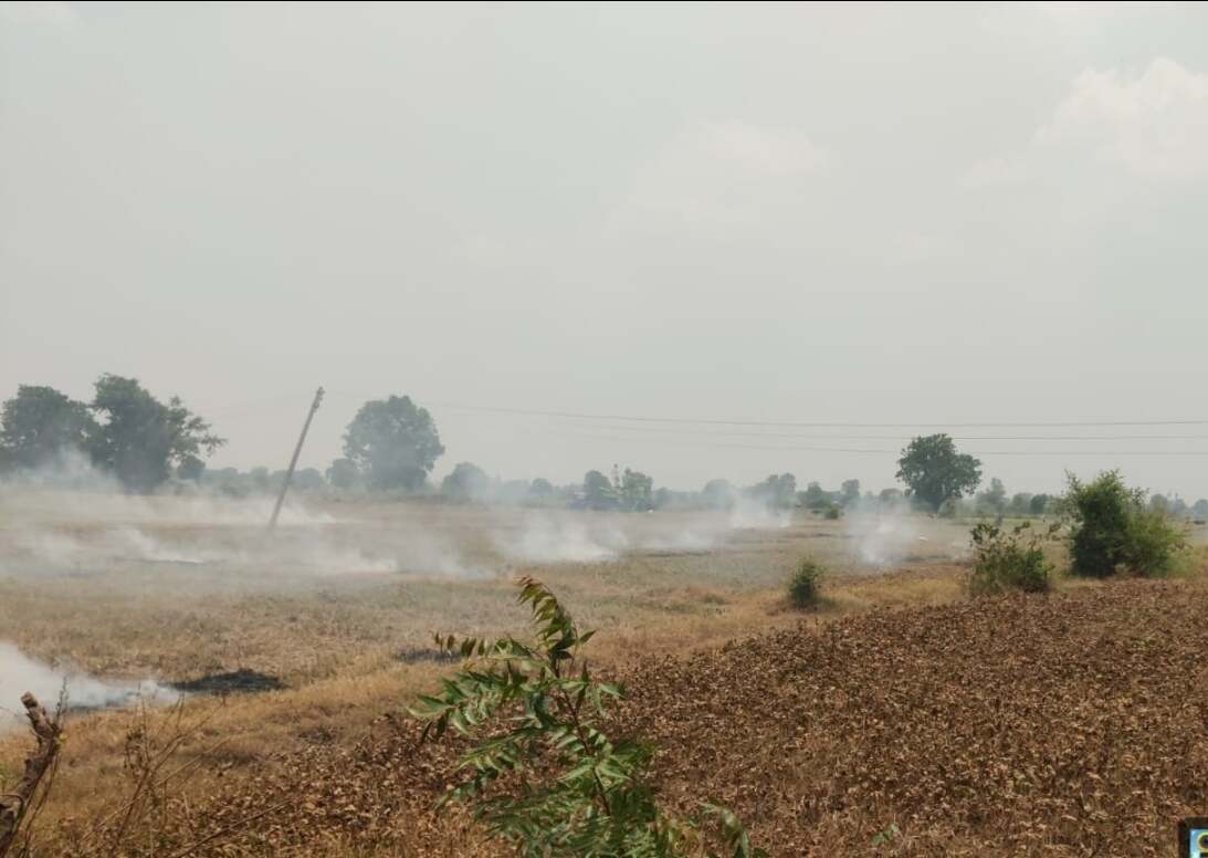 नरवाई जलाने पर प्रशासन की सख्त कार्यवाही (1)