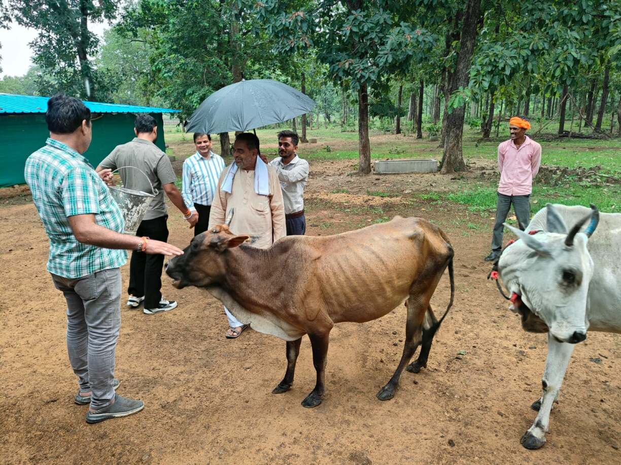 सीसीटीवी की निगरानी में सुरक्षित 250 से अध (2)