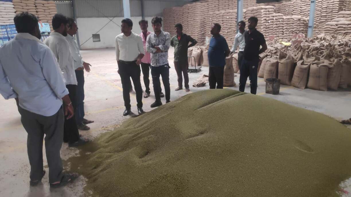 कलेक्टर के निर्देश पर मूंग भंडारण के)