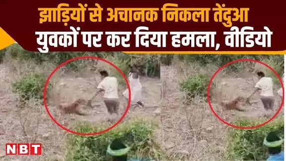 डीडीडीimages