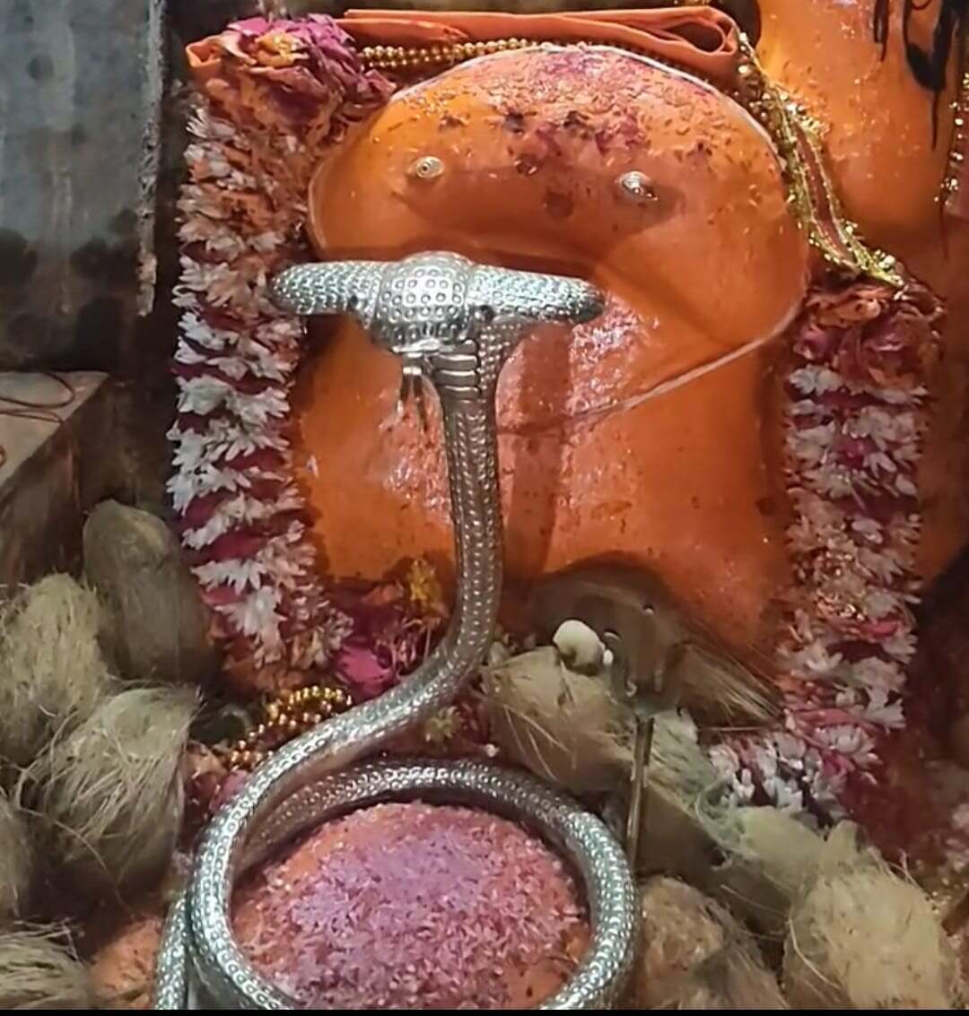 नाग