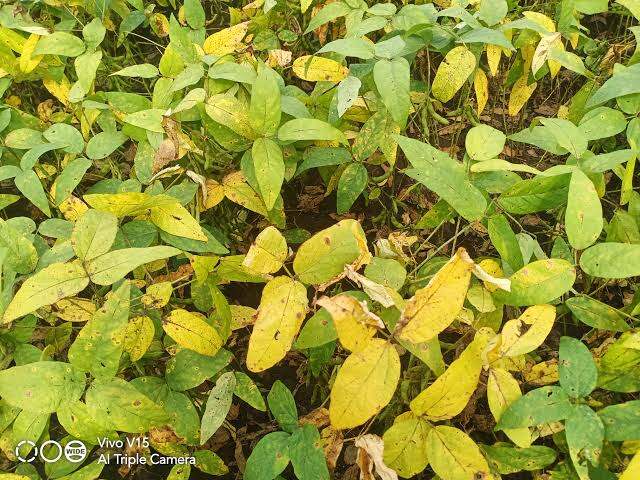 images (1)