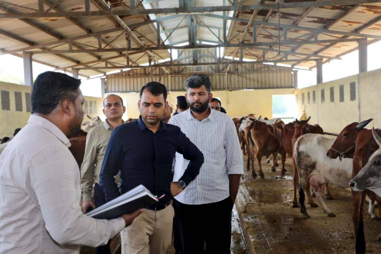 कलेक्टर श्री सोमेश मिश्रा ने राष्ट्रीय डेयरी ब्रीडिंग सेंटर का किया निरीक्षण (7)