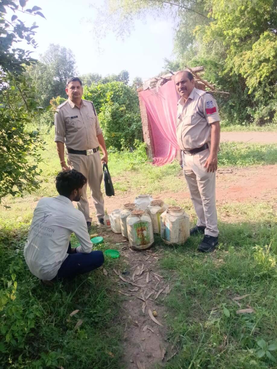 नर्मदापुरम में अवैध शराब पर बड़ी का